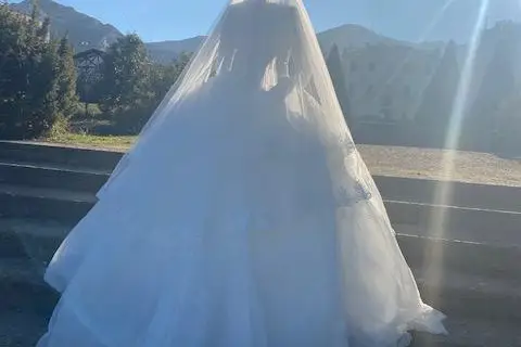 N & L Collection — photo 4