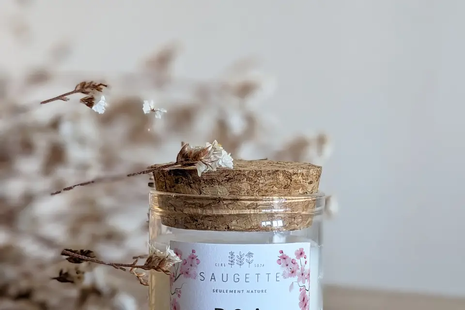 Saugette — photo 6