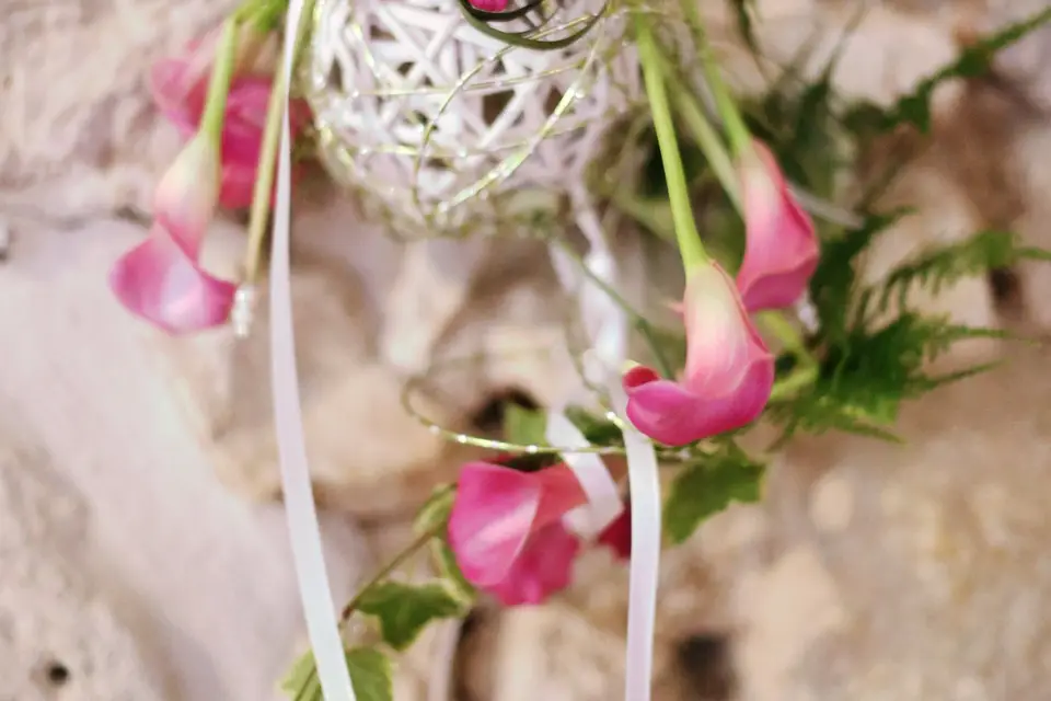 Mari & Moi — photo 5