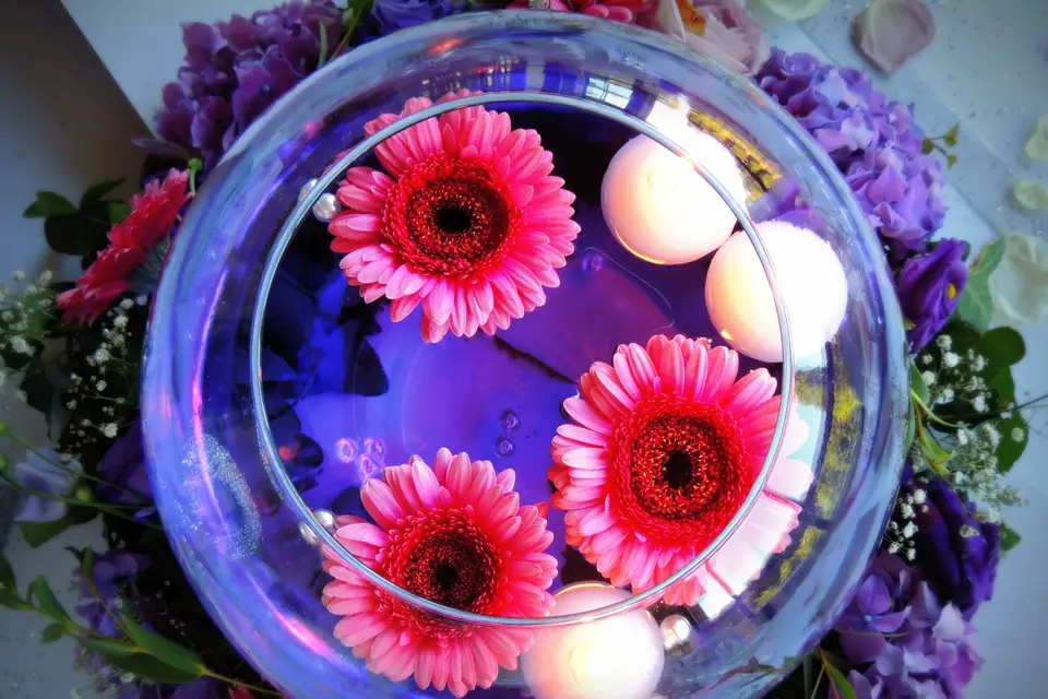 Happilys Events — photo 5