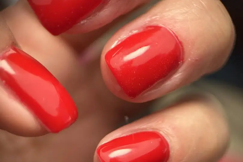 L’Atelier de Maria — photo 4