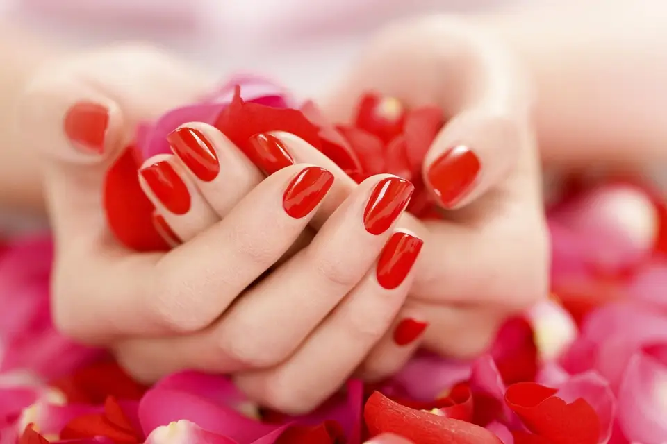 L’Atelier de Maria