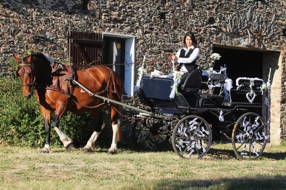 L'Etrier de la Montagne Noire — photo 5