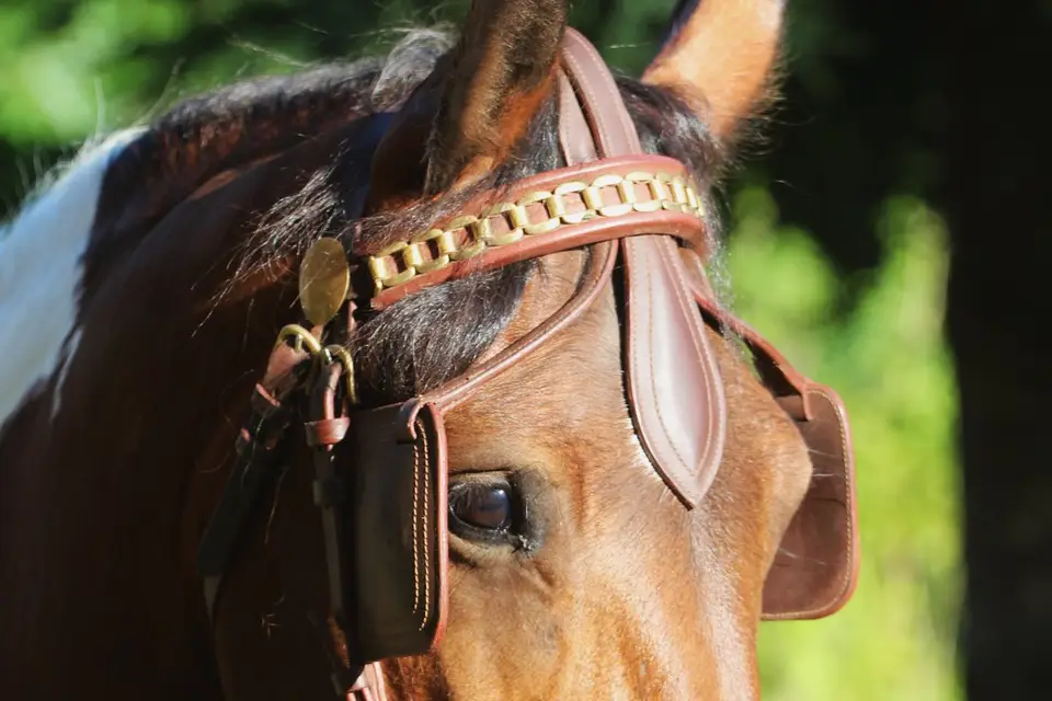 L'Etrier de la Montagne Noire — photo 6