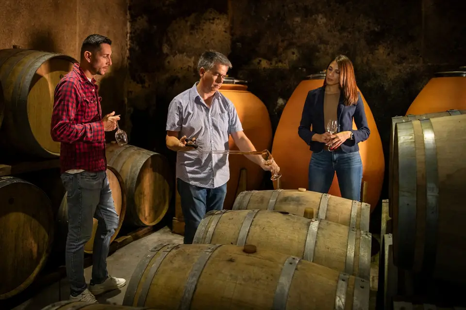 Clos de L'Amandaie — photo 6