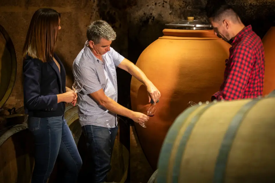 Clos de L'Amandaie — photo 7