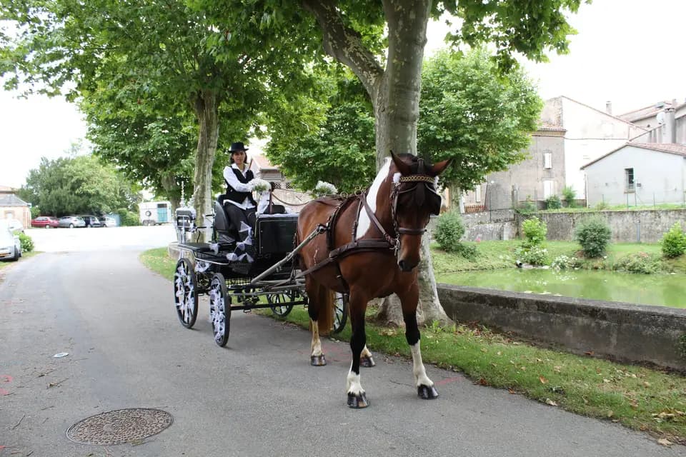 L'Etrier de la Montagne Noire — photo 1
