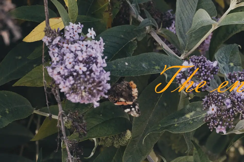 Charline Legendre — photo 4