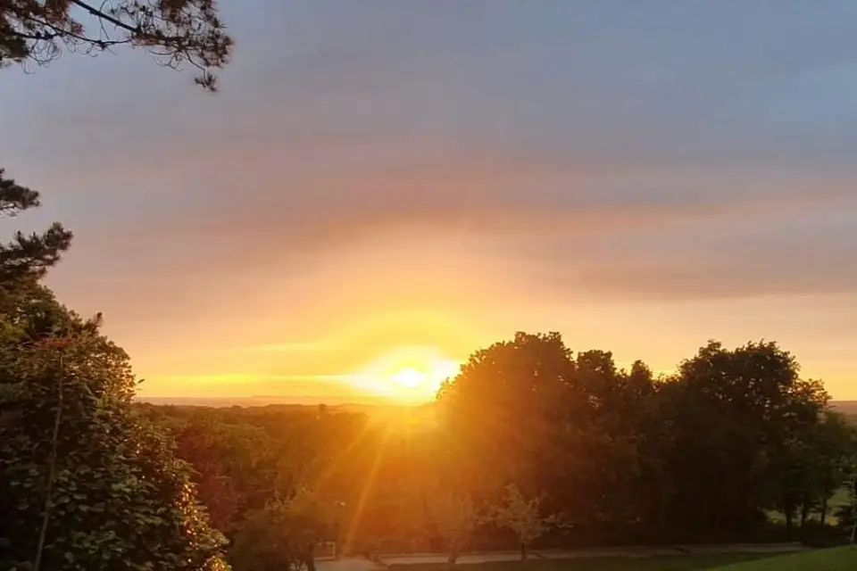 Les Terrasses de Kerorgan — photo 6