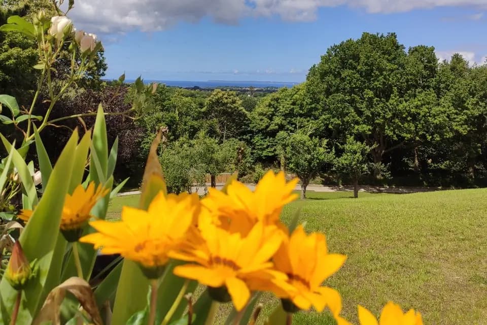 Les Terrasses de Kerorgan — photo 3