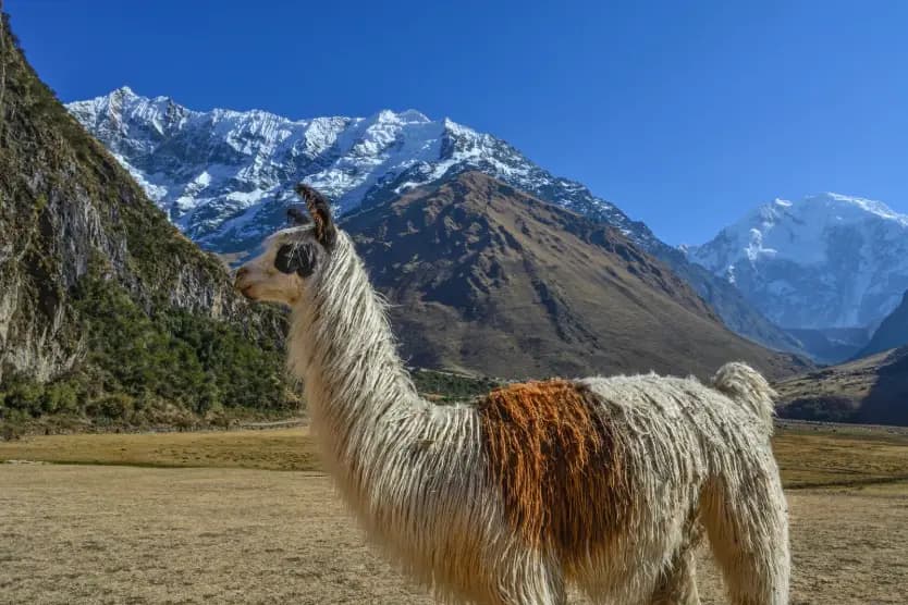 Exo7 Travel — photo 3