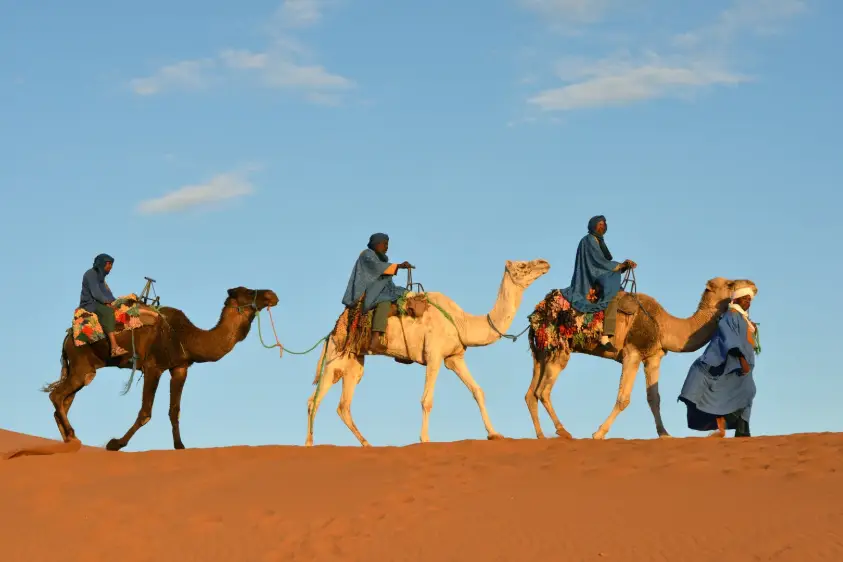 Exo7 Travel — photo 4