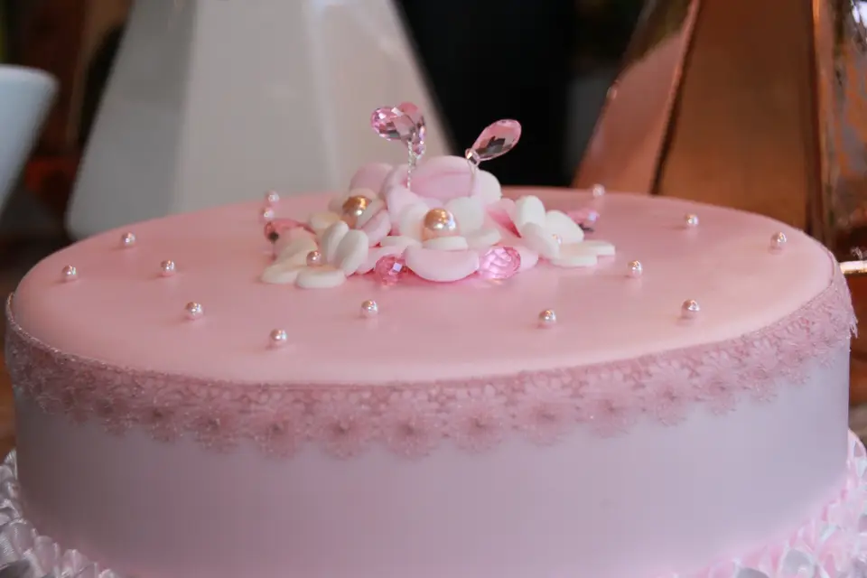 Gastro-Mômes Cakedesigner — photo 5