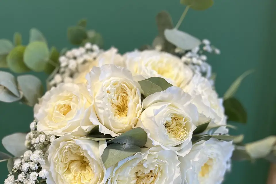 Le jardin d'Hourtin — photo 1