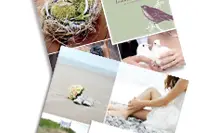 Invitation Originale — photo 4