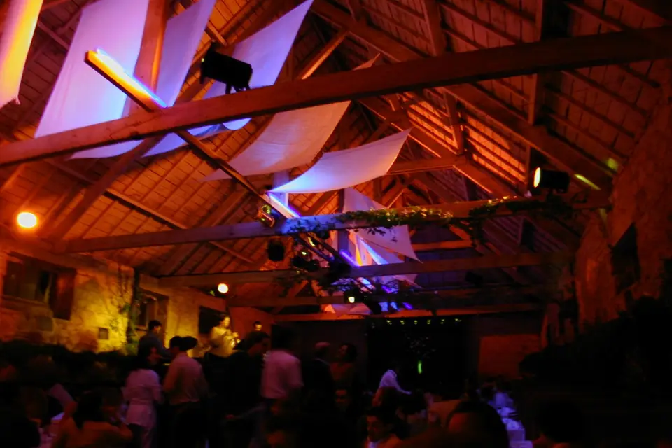 Stef Tom — photo 2