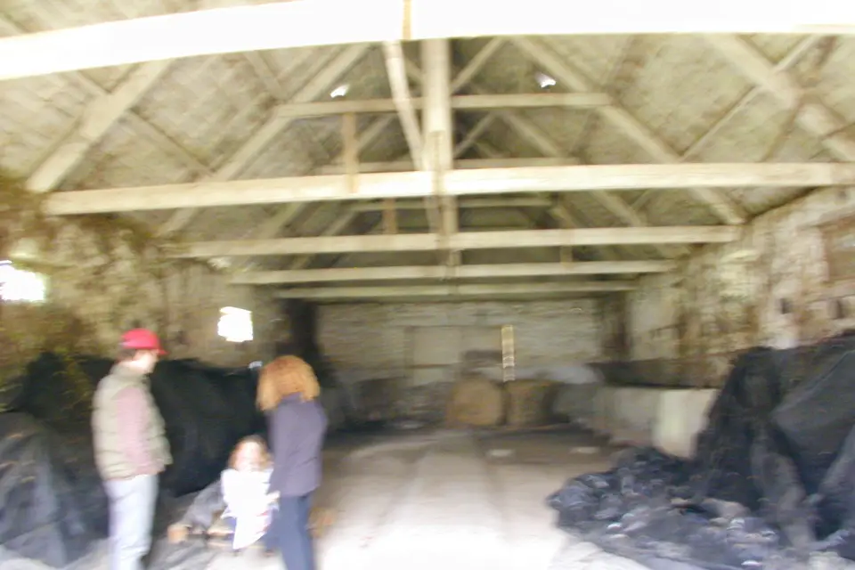 Stef Tom — photo 3