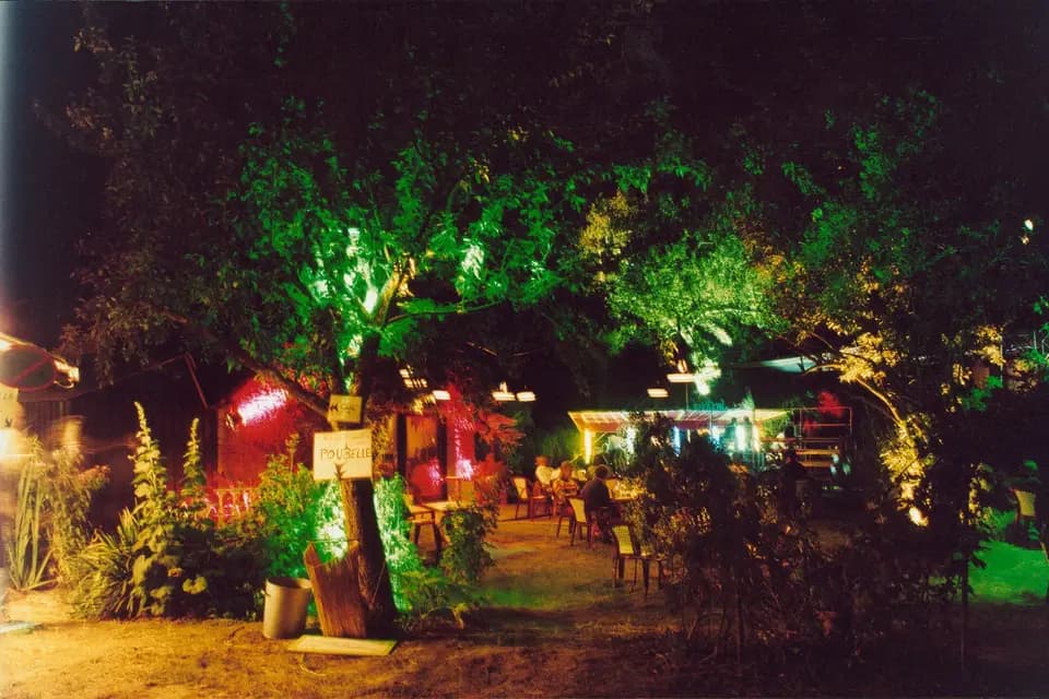 Stef Tom — photo 8