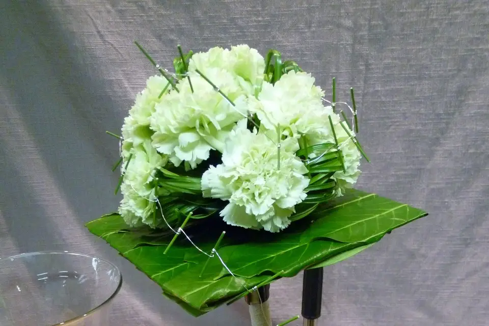 Florabulle — photo 8