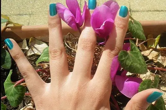 Sombody - La beauté à domicile — photo 5