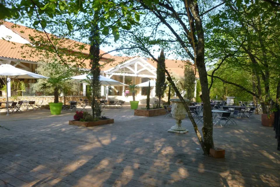 Le Domaine des Oliviers — photo 4