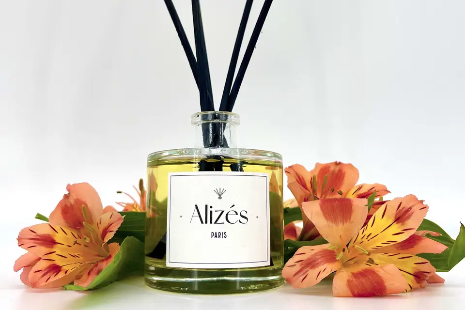 Alizés Paris — photo 7