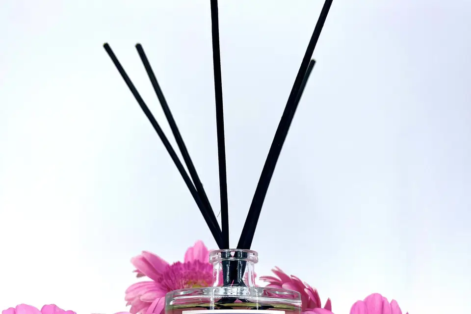 Alizés Paris — photo 8