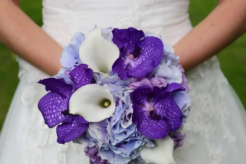 Krystel Coach Mariage — photo 6