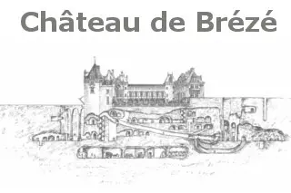 Château de Brézé — photo 6