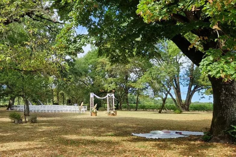 Les cérémonies de Tiffany — photo 2