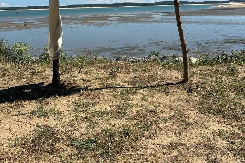 Les cérémonies de Tiffany — photo 6