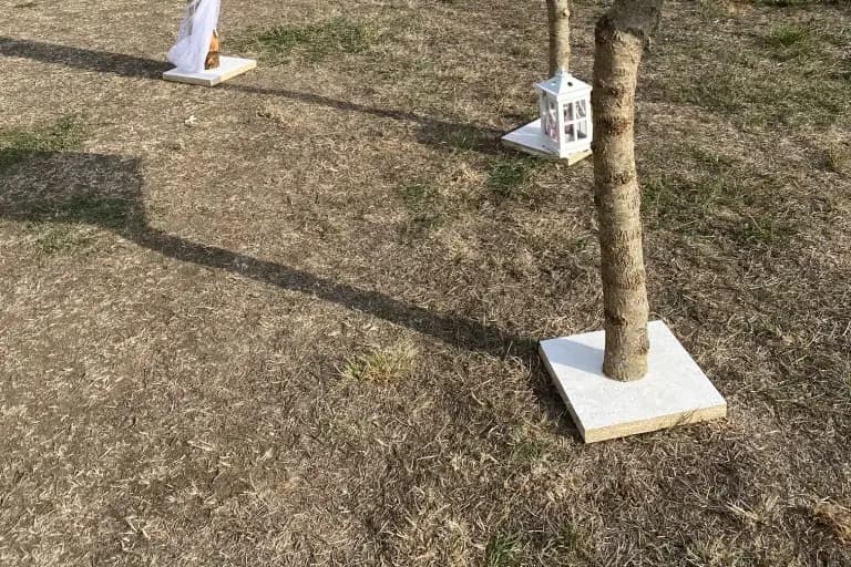 Les cérémonies de Tiffany — photo 5