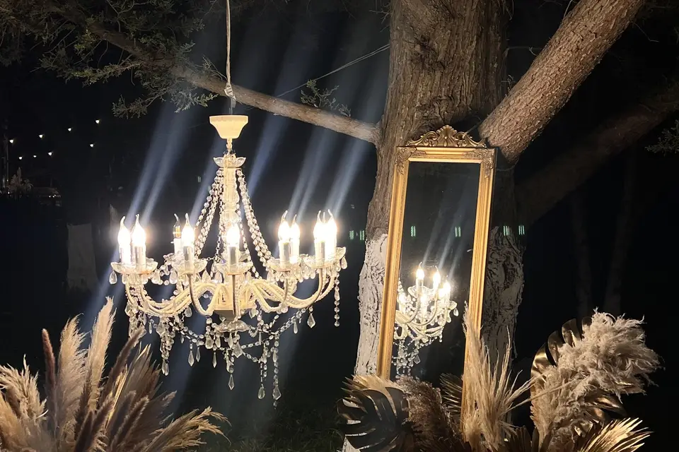 Life Story Decor Paris