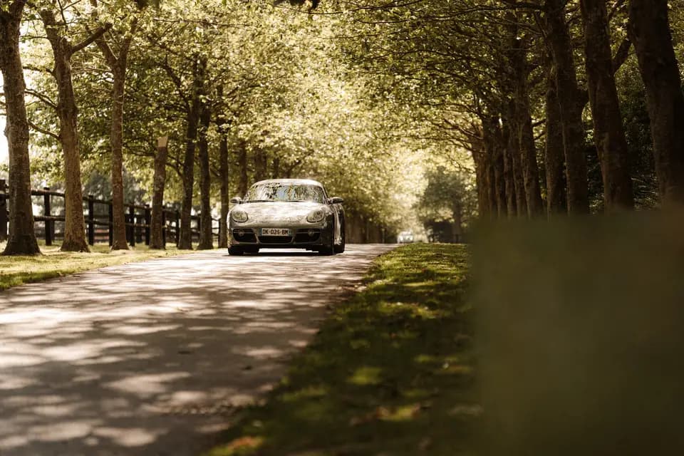 Haras du Ry — photo 1