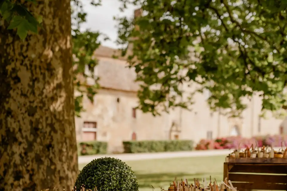 Château du Fraisse — photo 5