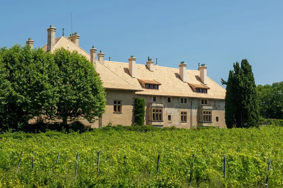 Château de Ripaille — photo 1