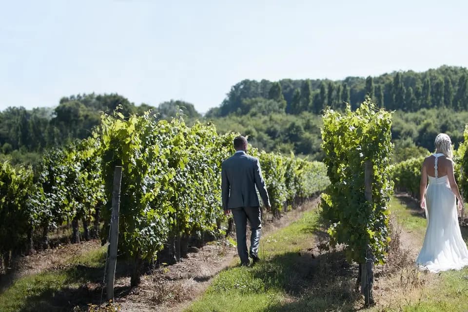 Château Beaulé — photo 7