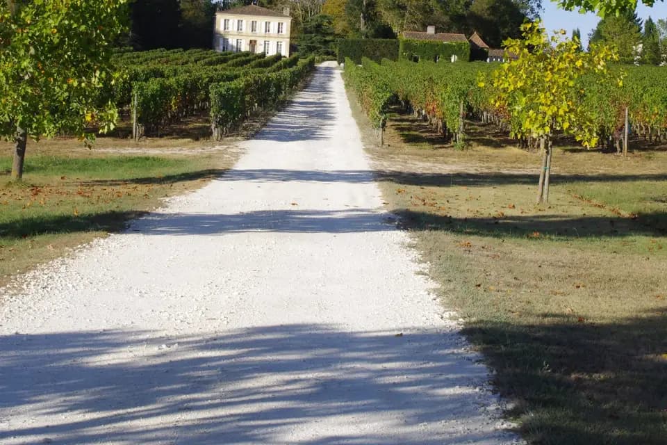 Château Beaulé — photo 2