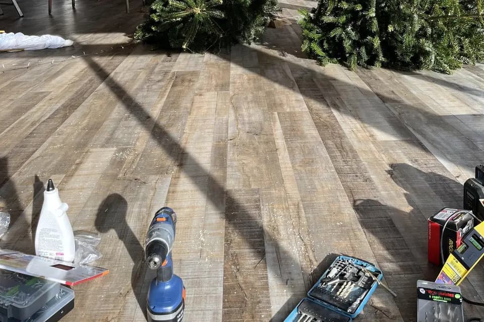 Organon Caro — photo 4