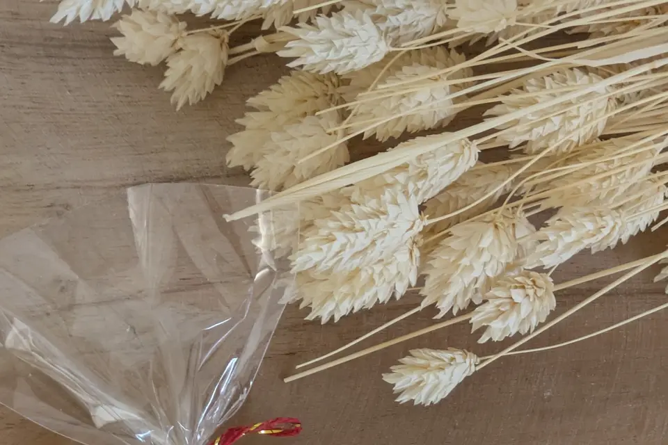 Belles Bulles — photo 3