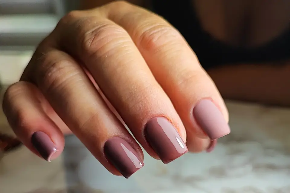 Sublim'ailes — photo 6