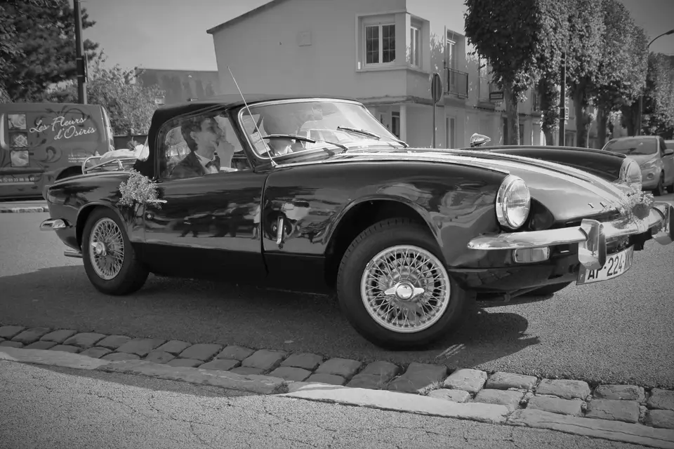 Black and Colors — photo 1