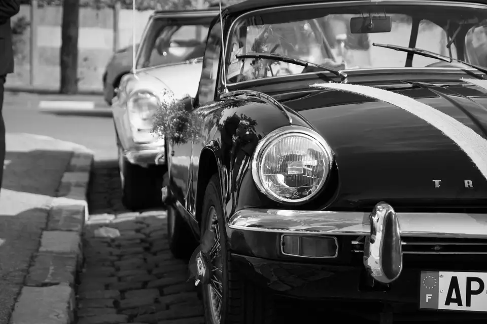 Black and Colors — photo 5