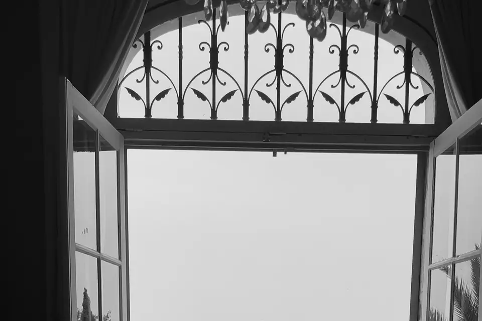 Moon and Oak — photo 4