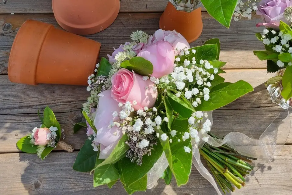 La Freesia — photo 7