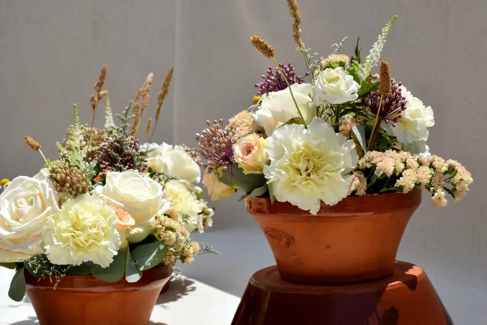 La Freesia — photo 3