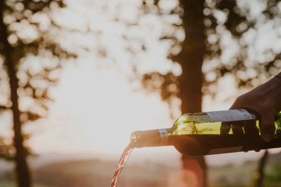 Château Belingard — photo 4