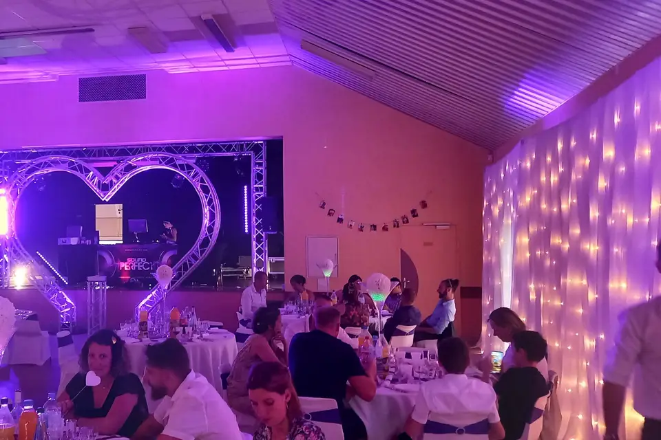 Sound Perfect Animation — photo 6