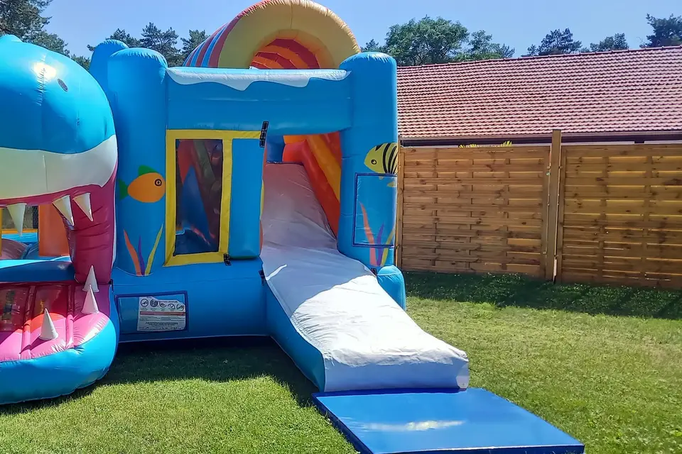 Sound Perfect Animation — photo 8