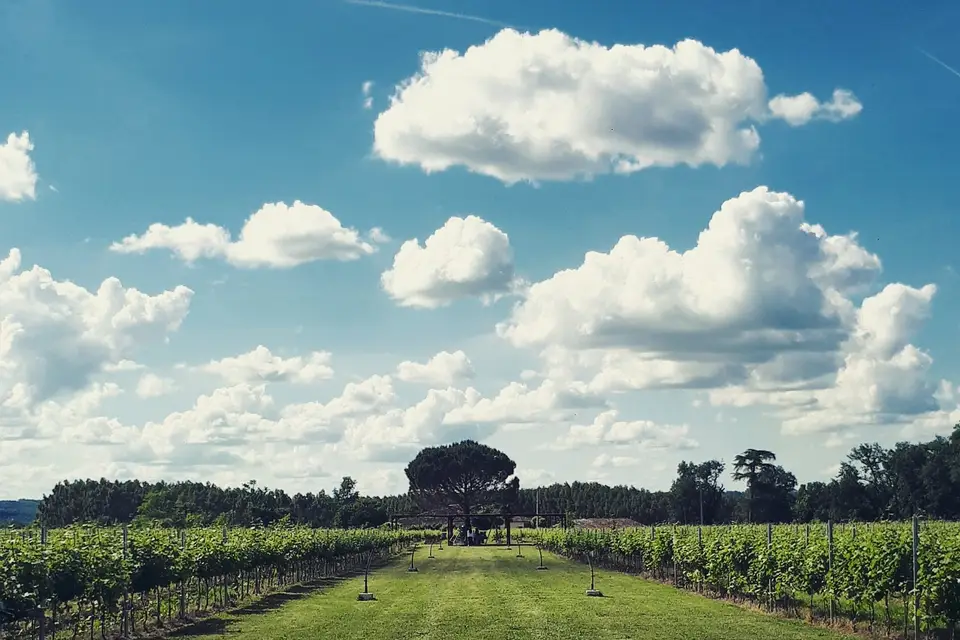 Domaine de Montels — photo 2